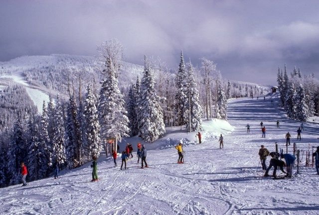 The impact of climate change on winter sports and ski resorts. - Gwiazdy